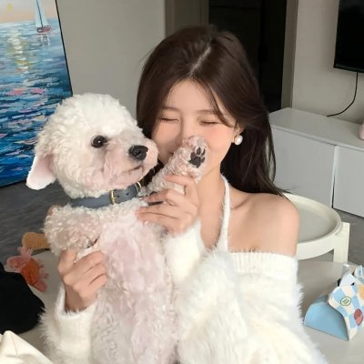 开局穿越修仙界